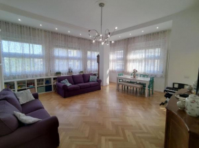 Spacious apartment in the heart of the city
